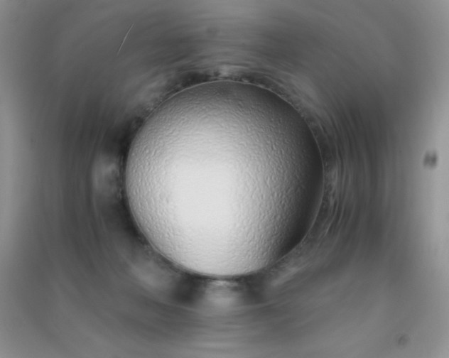 X0000091300222200708172215