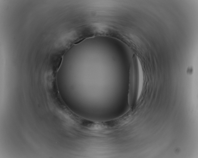 X0000091300223200708172215