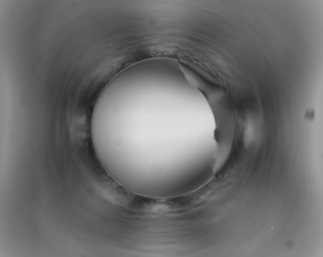 X0000091300224200708172215