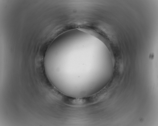 X0000091300225200708172215