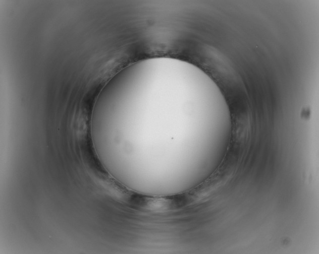 X0000091300226200708172215