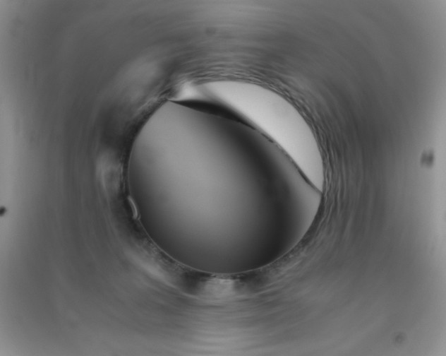 X0000091300227200708172215