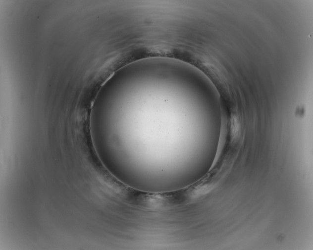 X0000091300229200708172215