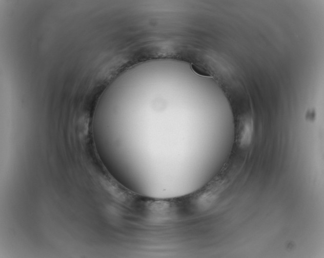 X0000091300230200708172215