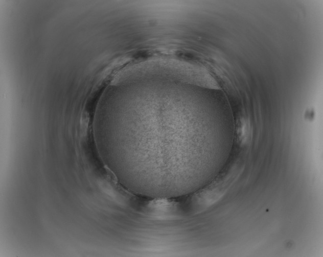 X0000091300231200708172215