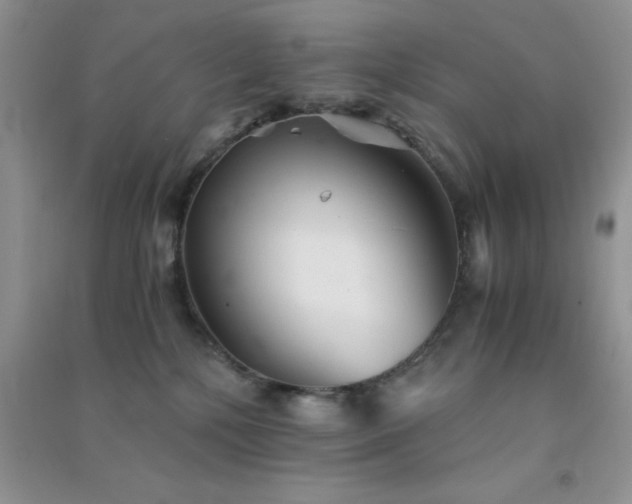 X0000091300232200708172215