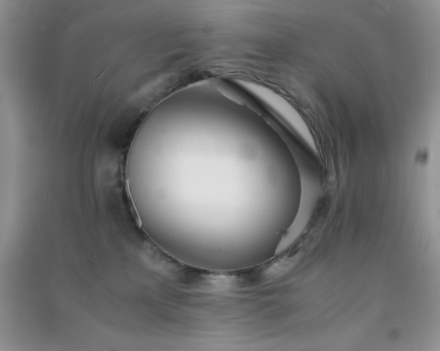 X0000091300233200708172215