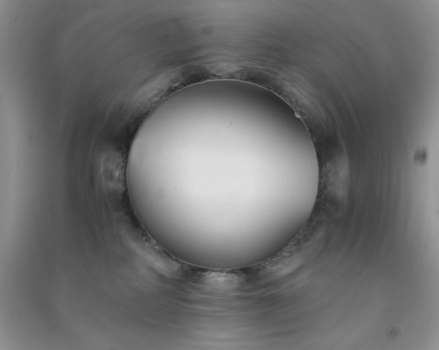 X0000091300234200708172215