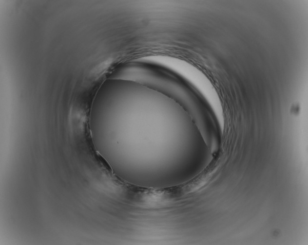 X0000091300235200708172215