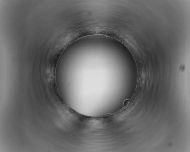 X0000091300236200708172215