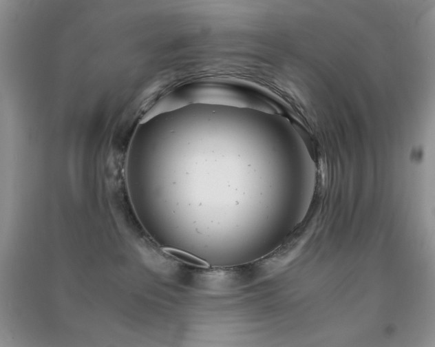 X0000091300237200708172215