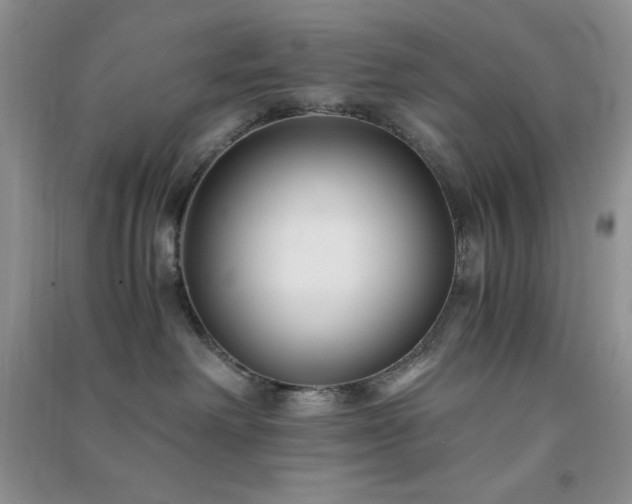 X0000091300238200708172215