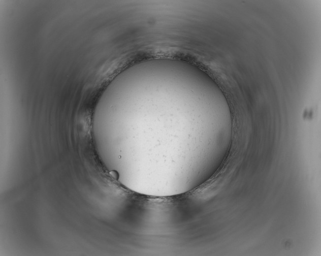 X0000091300240200708172215