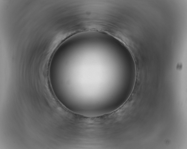 X0000091300241200708172214