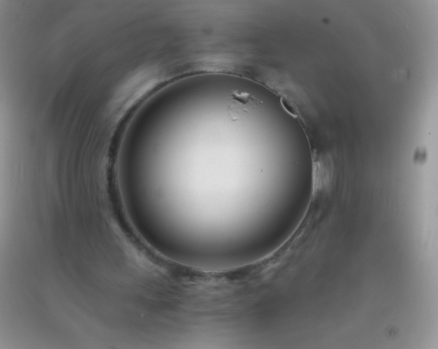 X0000091300243200708172214