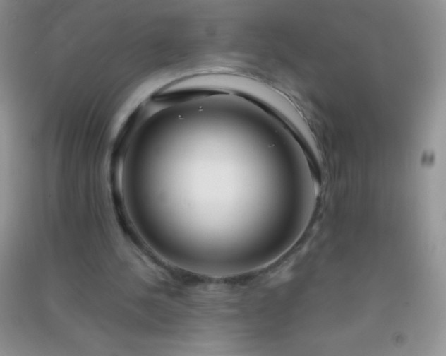 X0000091300244200708172214