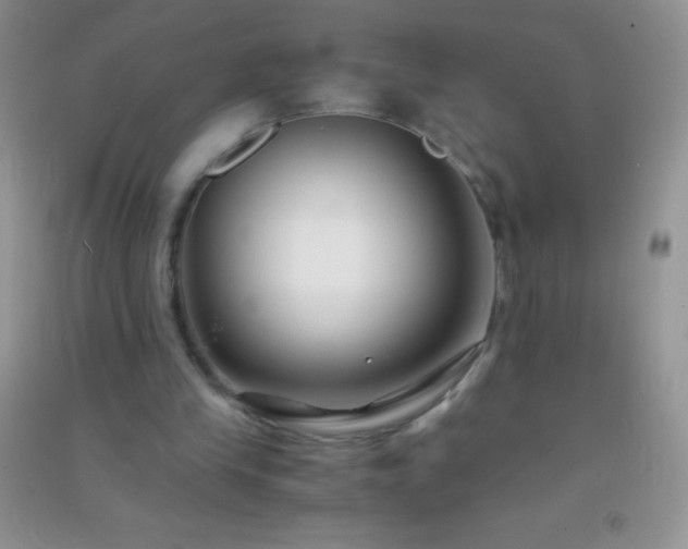 X0000091300245200708172214