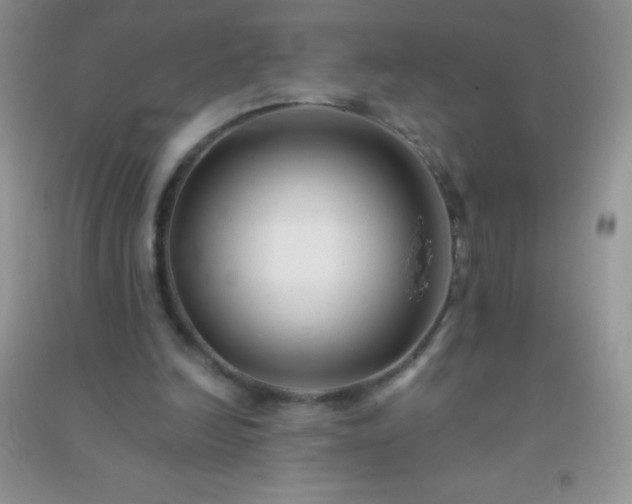 X0000091300246200708172214