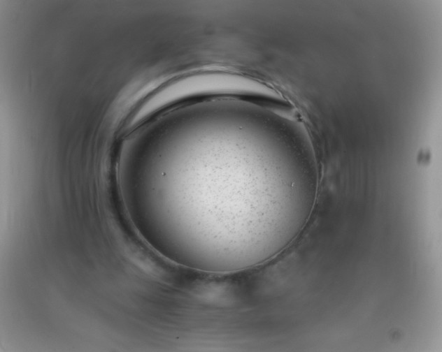 X0000091300247200708172214