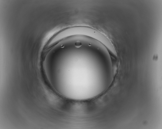 X0000091300248200708172214