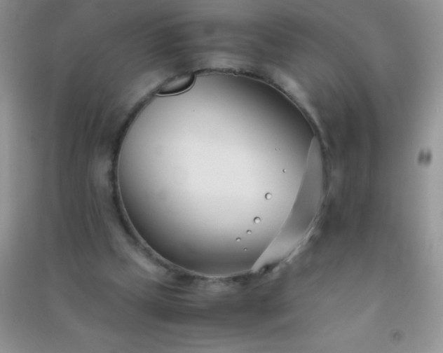 X0000091300249200708172214