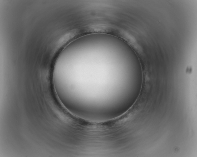 X0000091300250200708172214