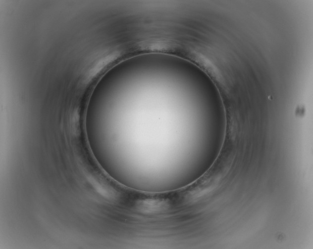 X0000091300251200708172214