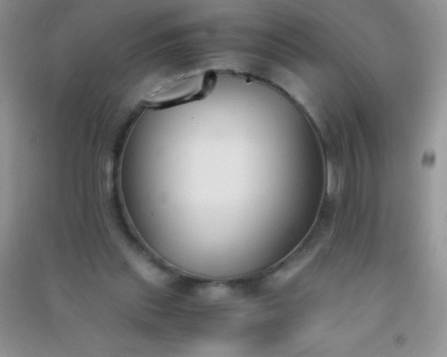 X0000091300253200708172214