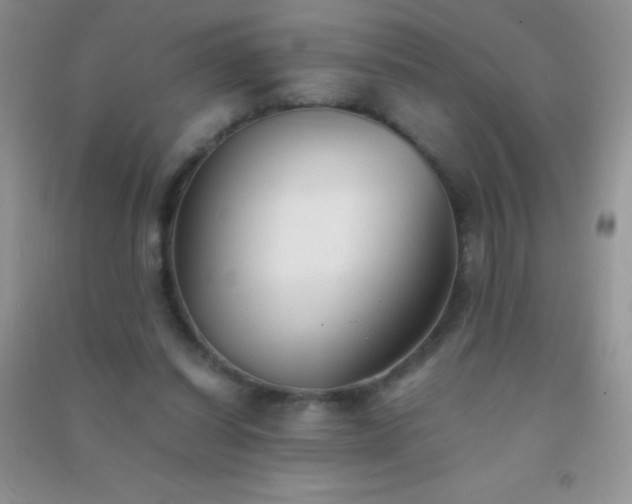 X0000091300254200708172214