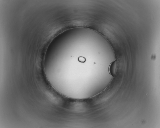 X0000091300255200708172214