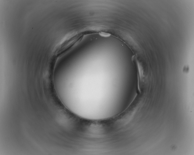 X0000091300256200708172214