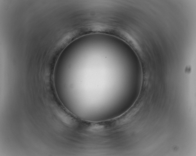 X0000091300257200708172214