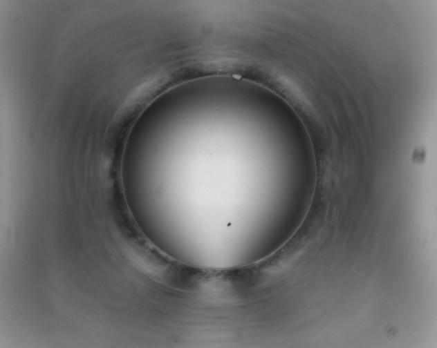 X0000091300258200708172214