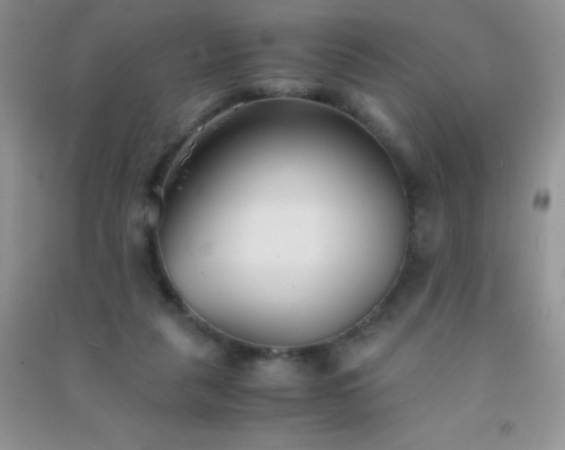 X0000091300259200708172214