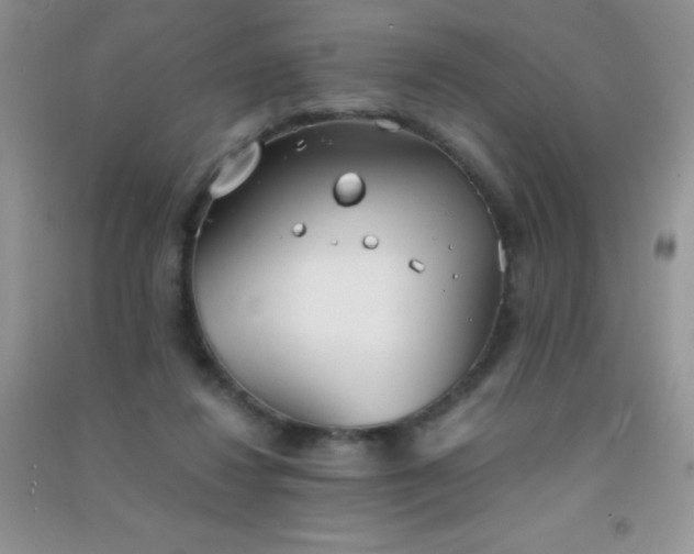 X0000091300260200708172214