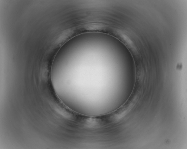 X0000091300261200708172214