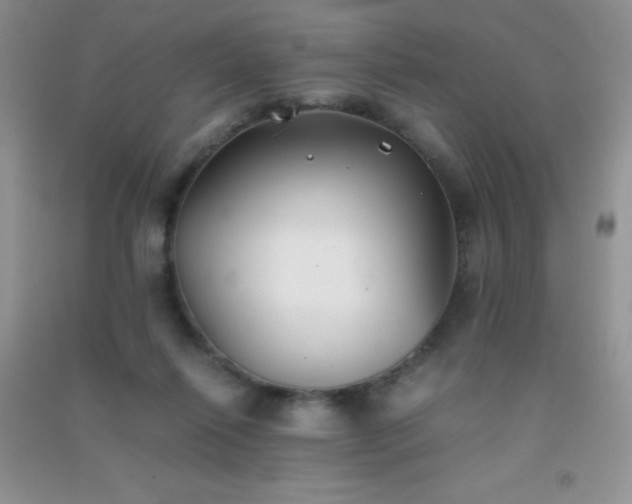 X0000091300262200708172214