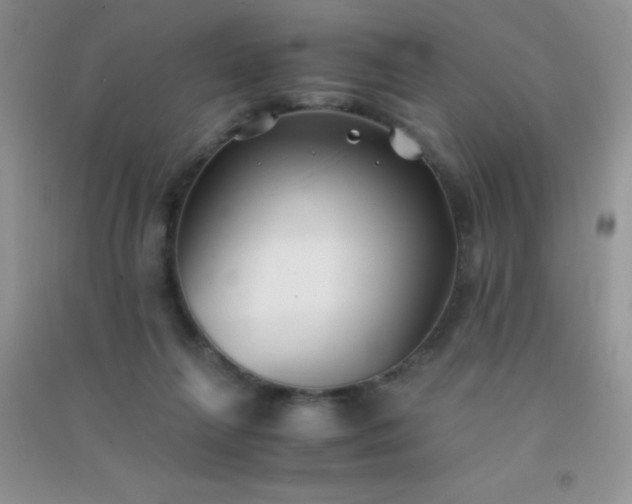 X0000091300263200708172214