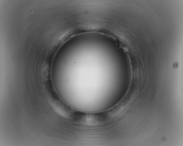 X0000091300264200708172214