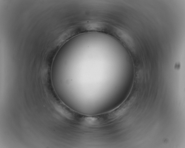 X0000091300265200708172214