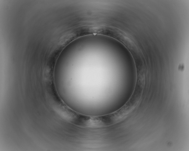 X0000091300270200708172214