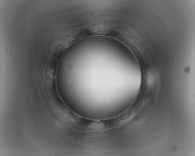 X0000091300271200708172214