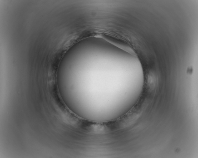 X0000091300272200708172214