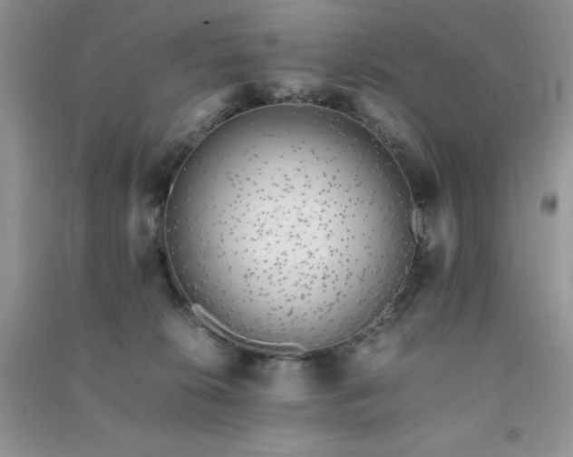 X0000091300276200708172214