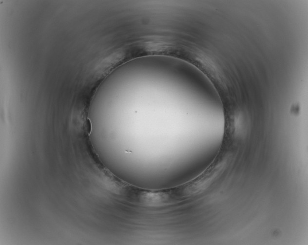 X0000091300277200708172214