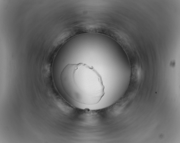 X0000091300278200708172214