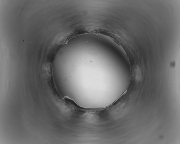 X0000091300280200708172214