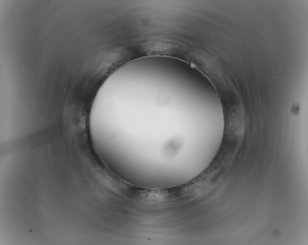 X0000091300282200708172214