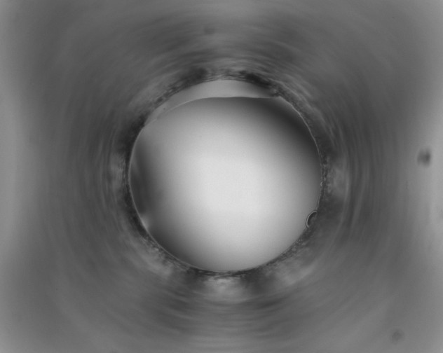 X0000091300283200708172214