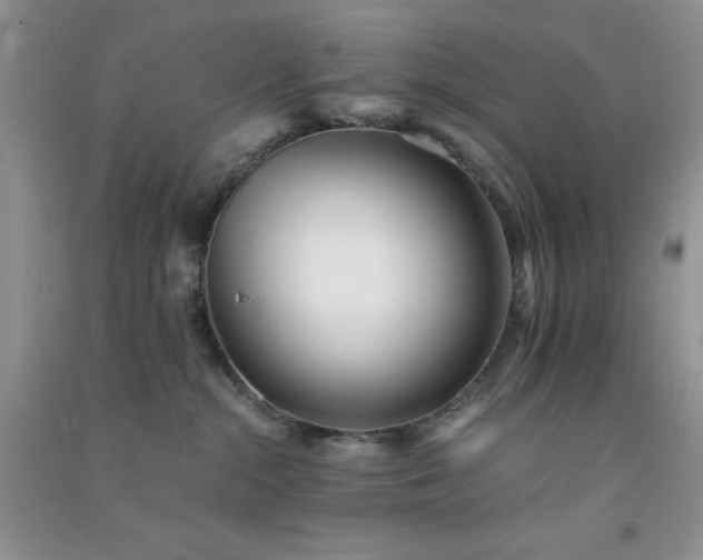 X0000091300284200708172214